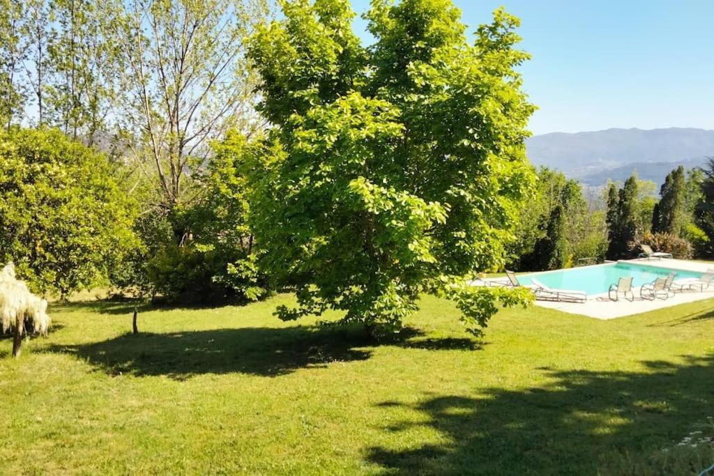 Confort, Fun And Leisure In Douro Rural Space Sande  Eksteriør bilde