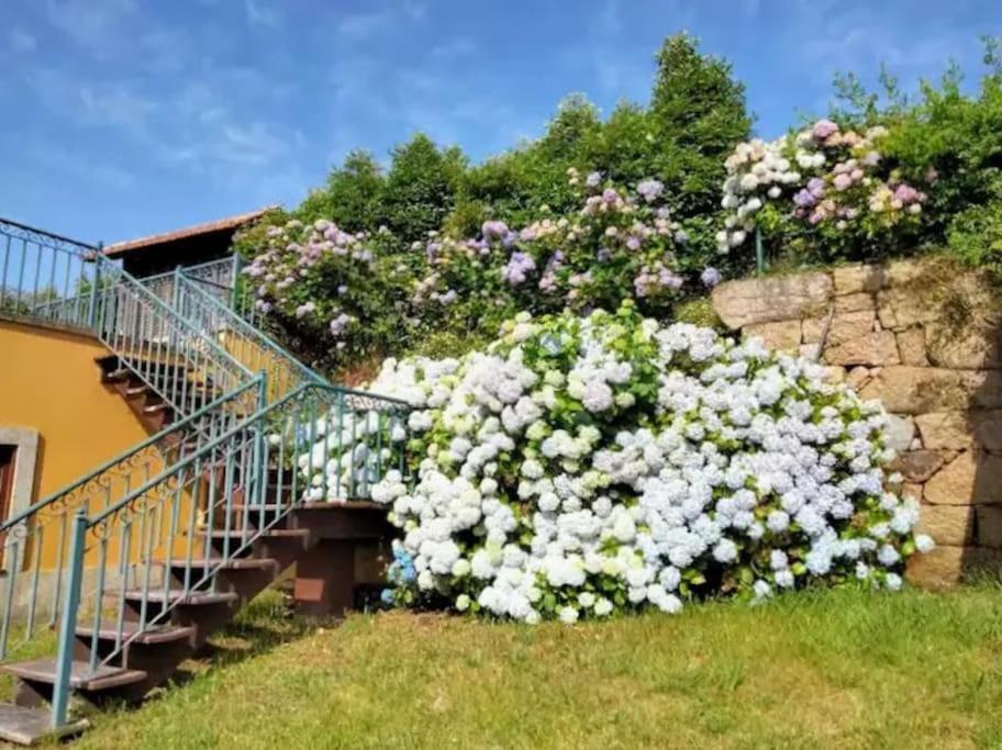Confort, Fun And Leisure In Douro Rural Space Sande  Eksteriør bilde